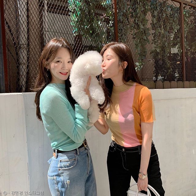 노트펫
