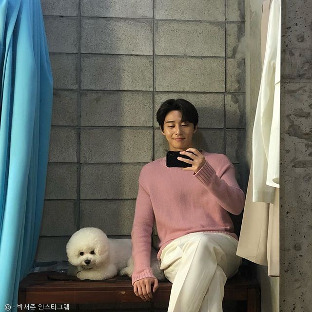 노트펫
