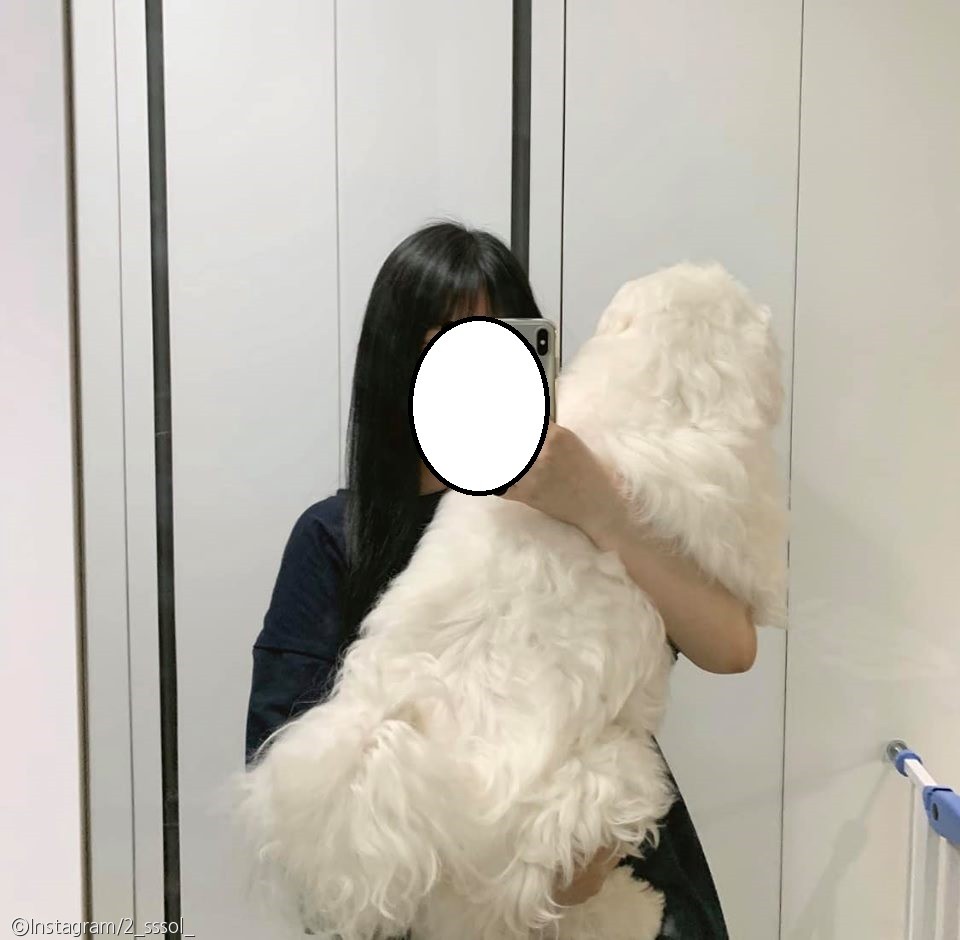 노트펫