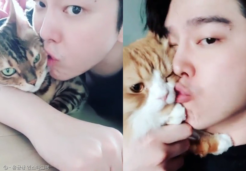 노트펫