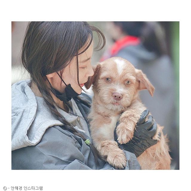 노트펫
