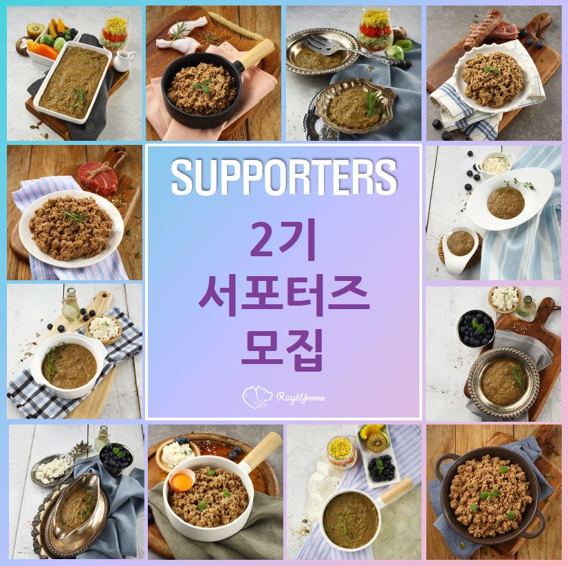 노트펫