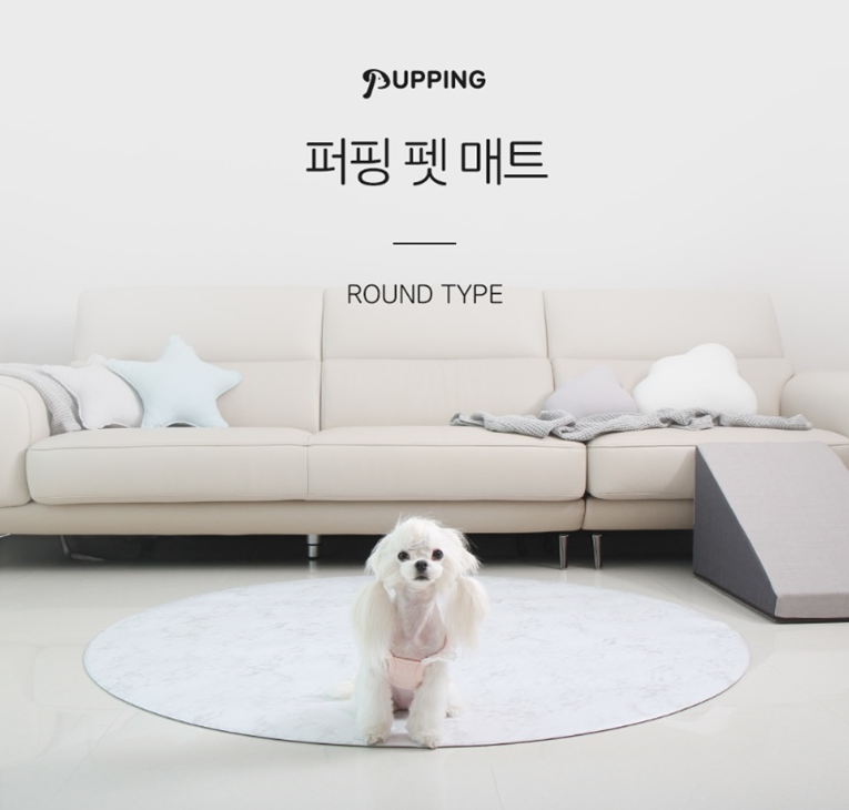 노트펫
