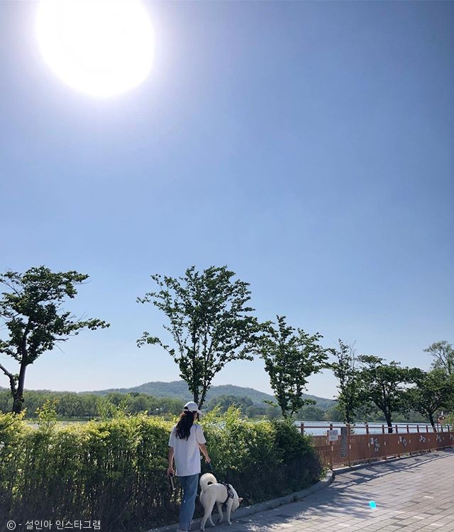 노트펫
