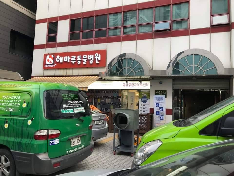 노트펫