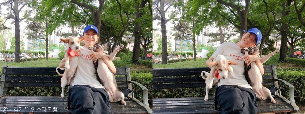 노트펫