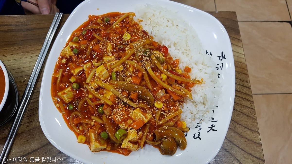 노트펫