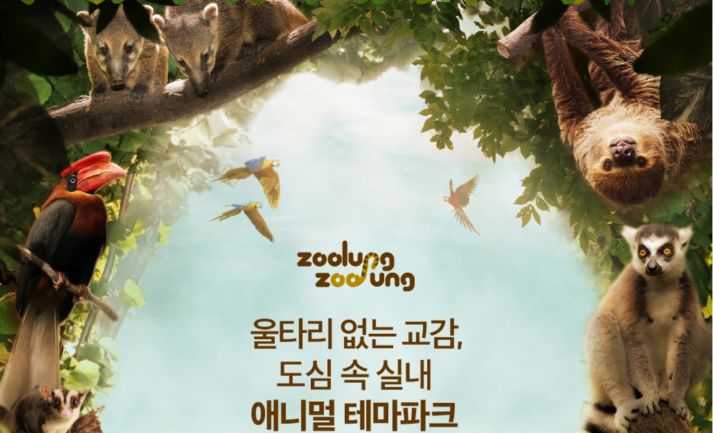 노트펫