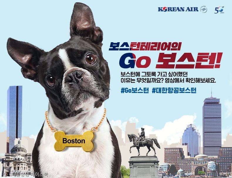 노트펫