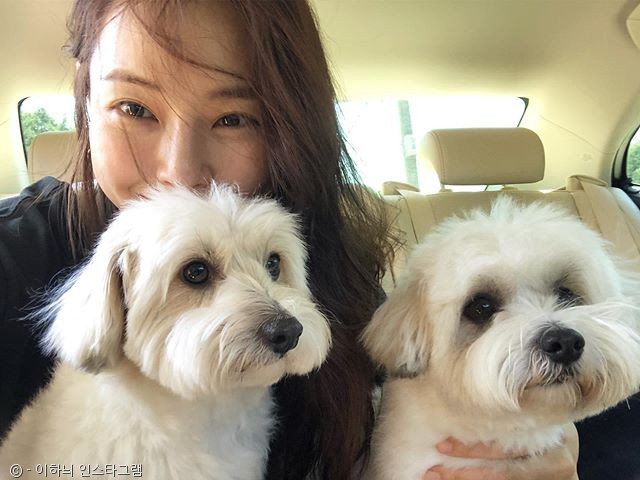 노트펫