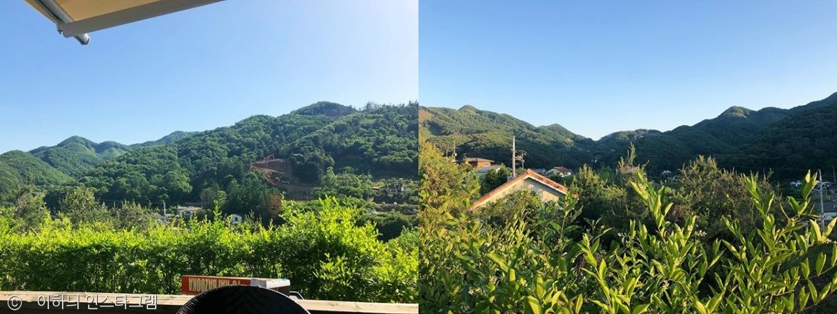 노트펫