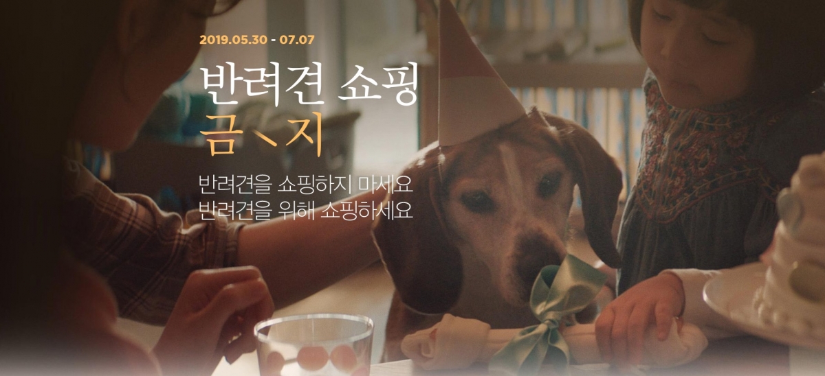노트펫
