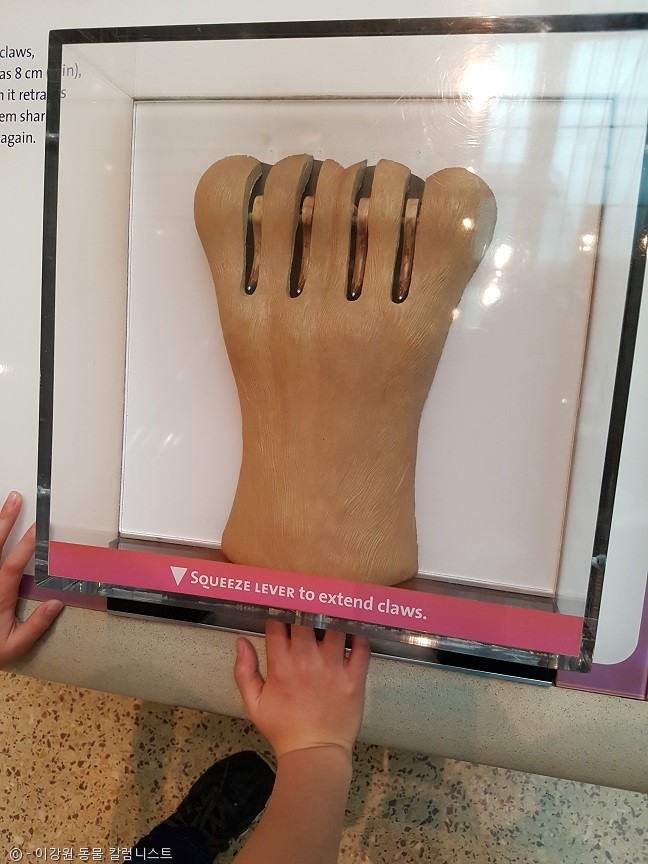 노트펫