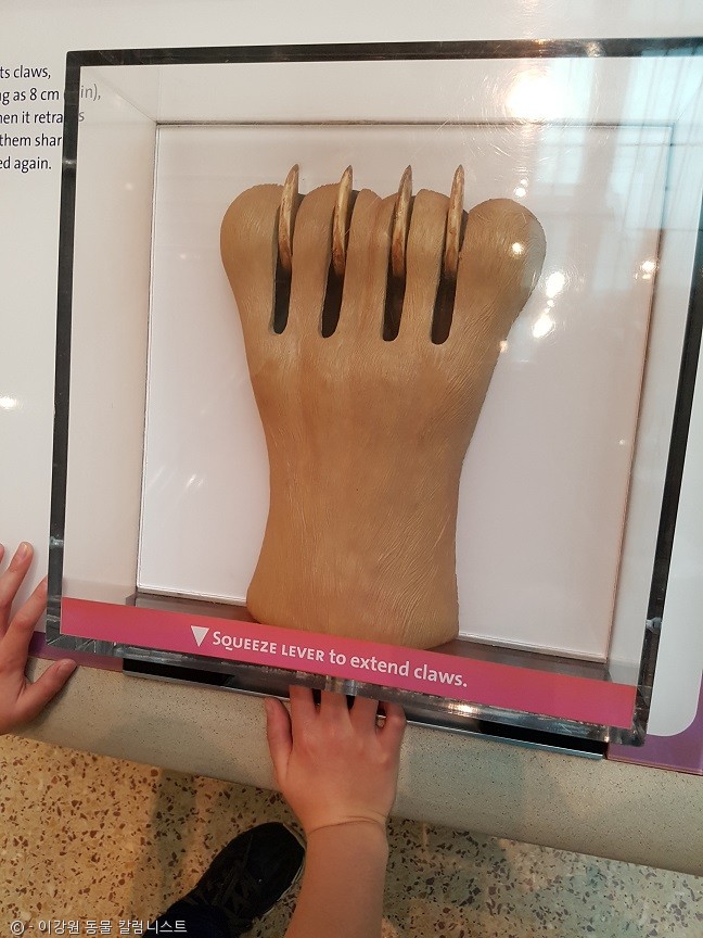 노트펫