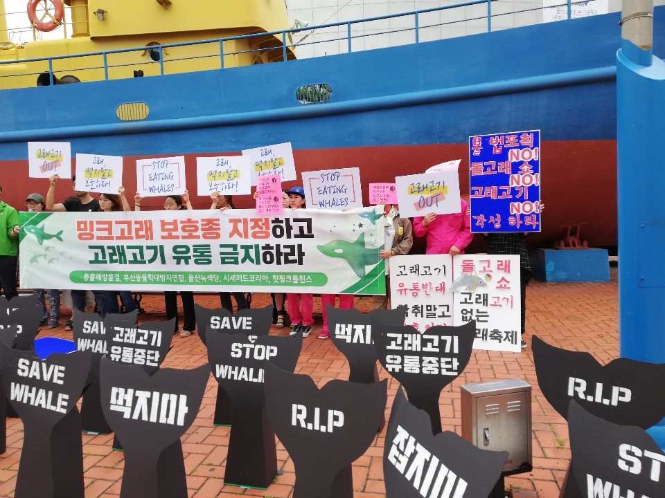노트펫