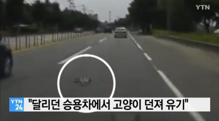 노트펫