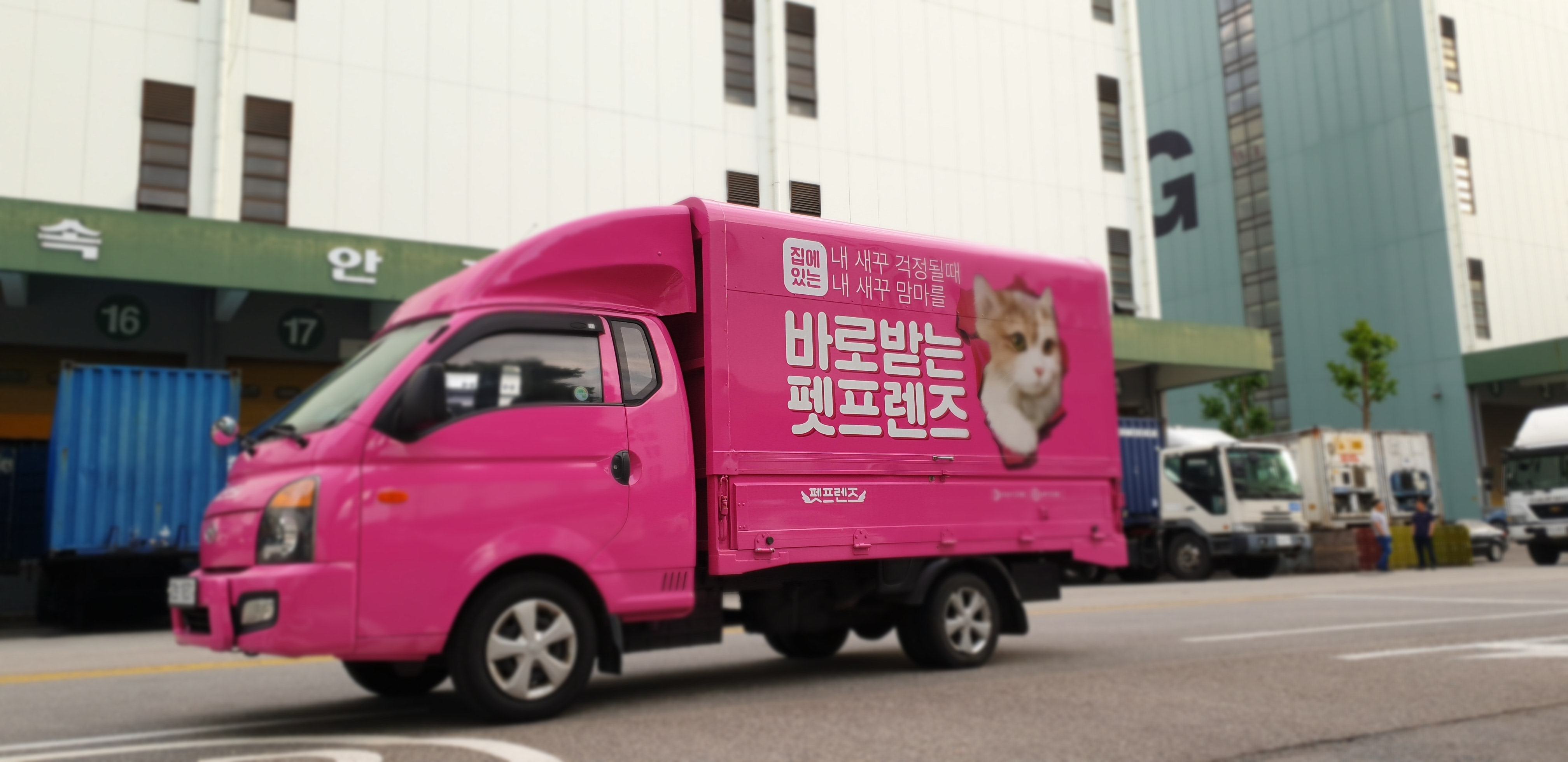 노트펫