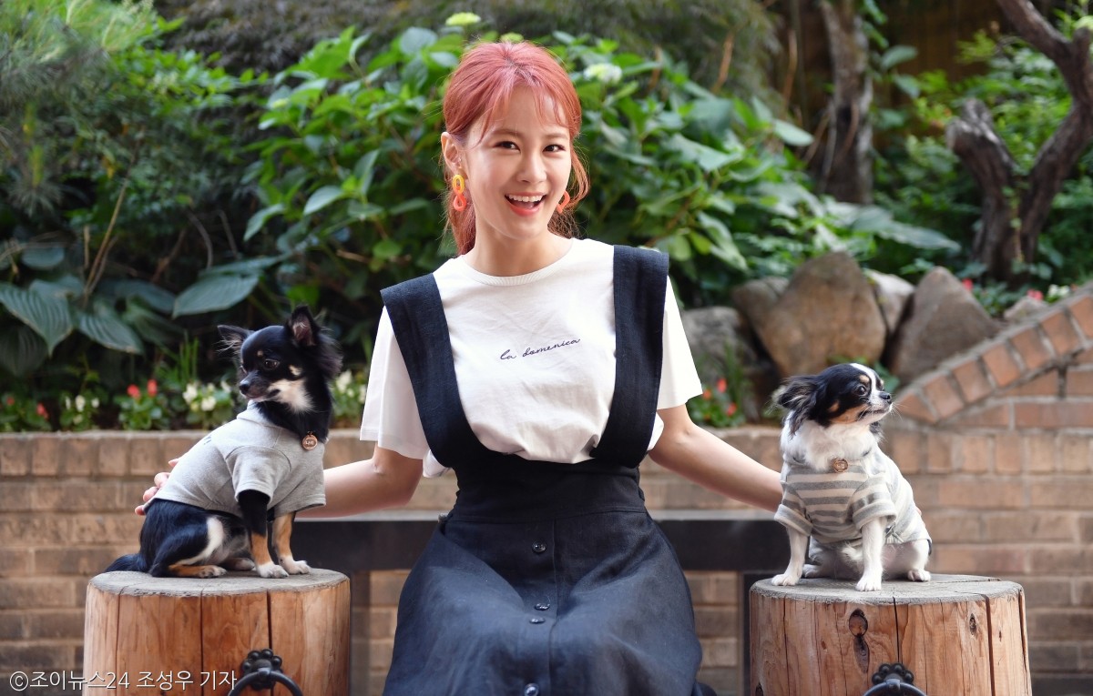 노트펫