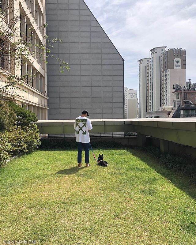 노트펫
