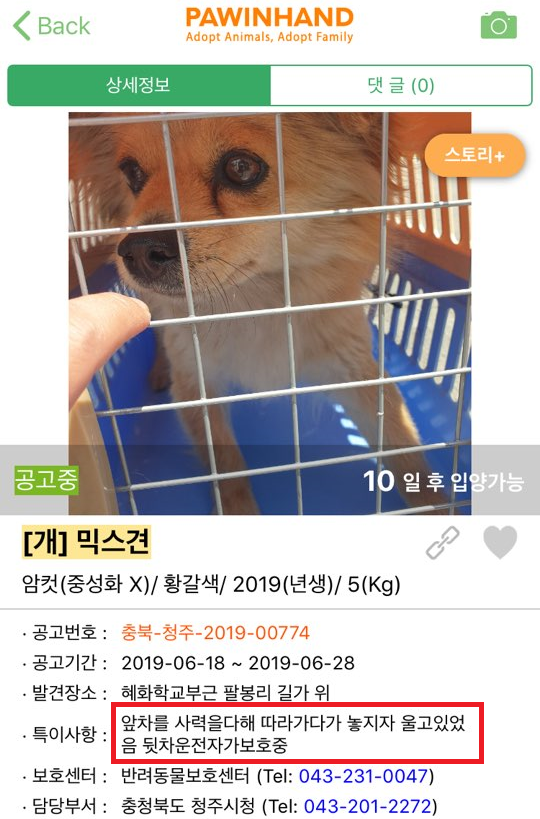 노트펫