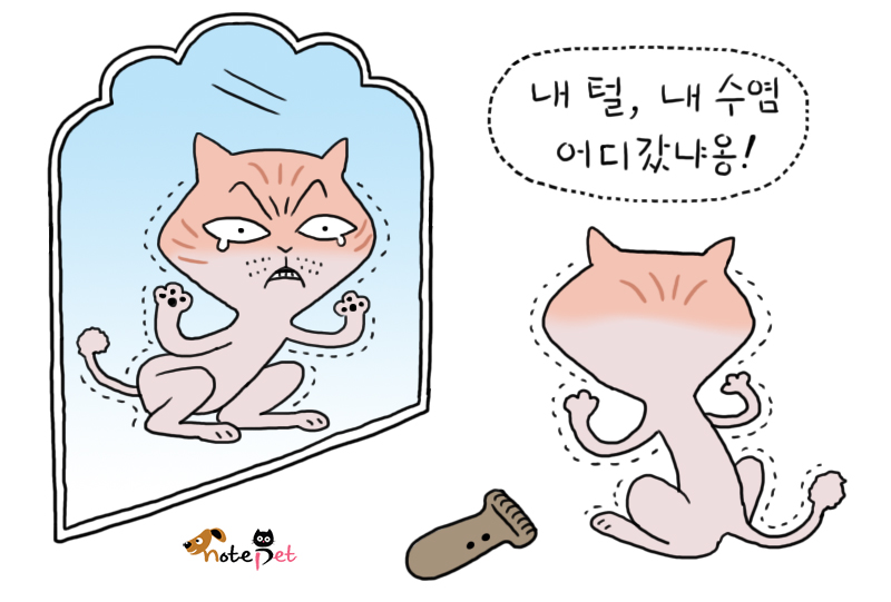 노트펫