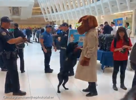노트펫