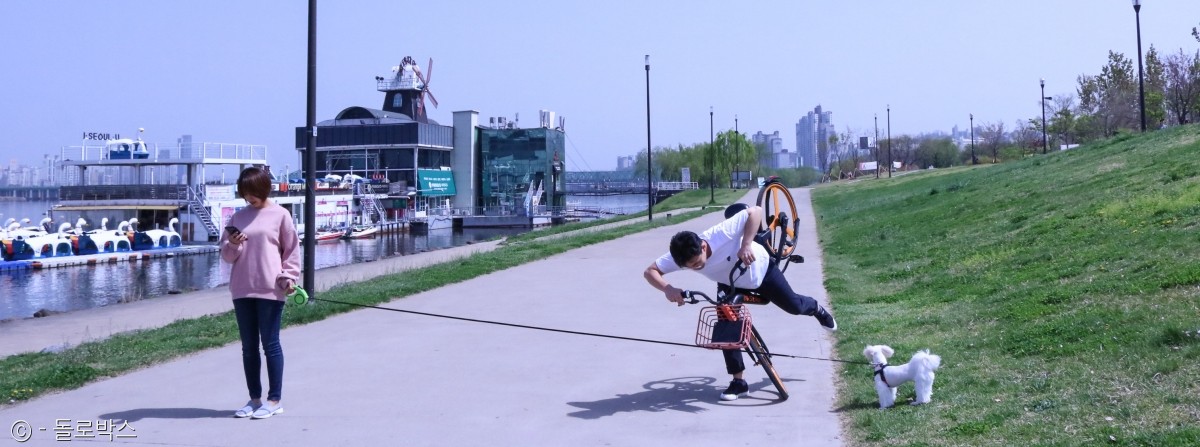 노트펫