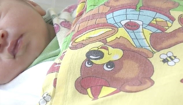 노트펫