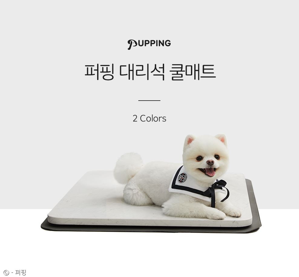 노트펫