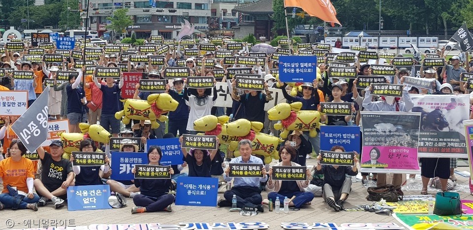 노트펫