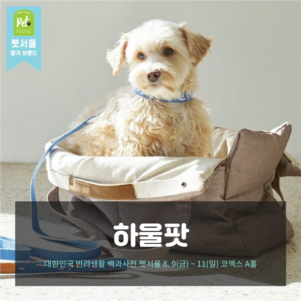 노트펫