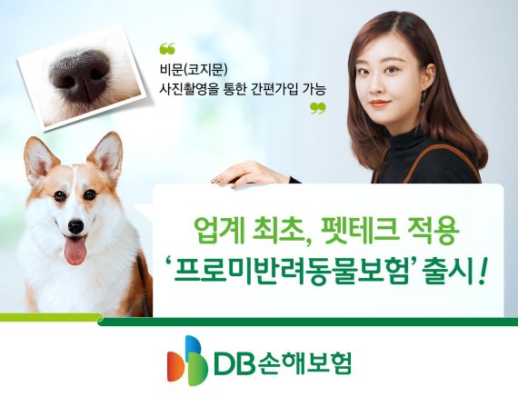 노트펫