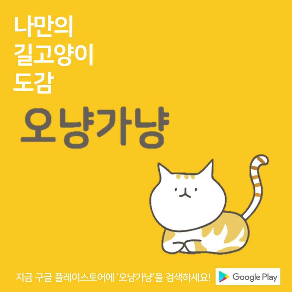 노트펫
