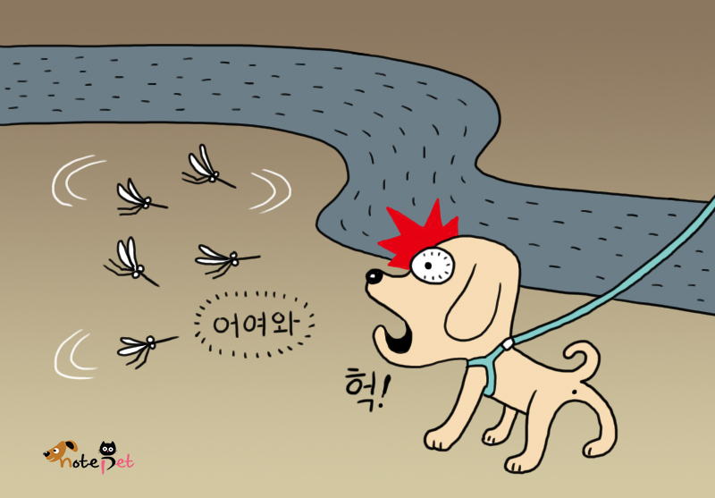 노트펫