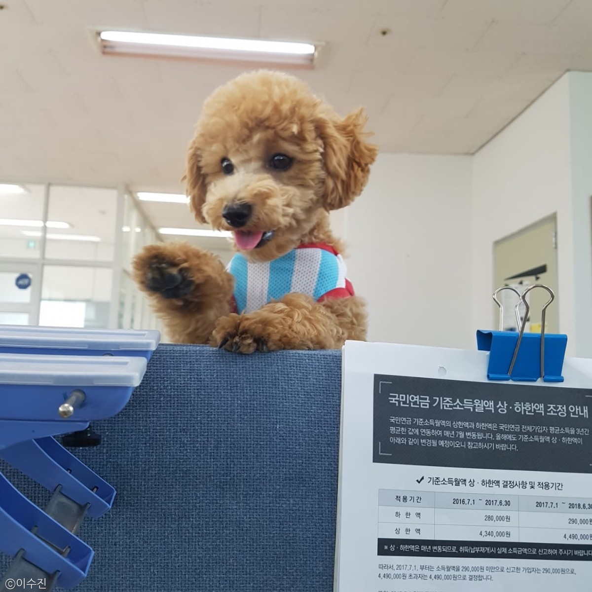 노트펫