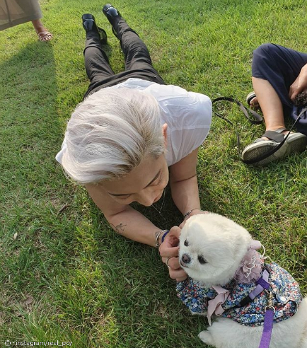 노트펫
