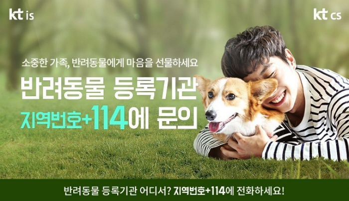 노트펫