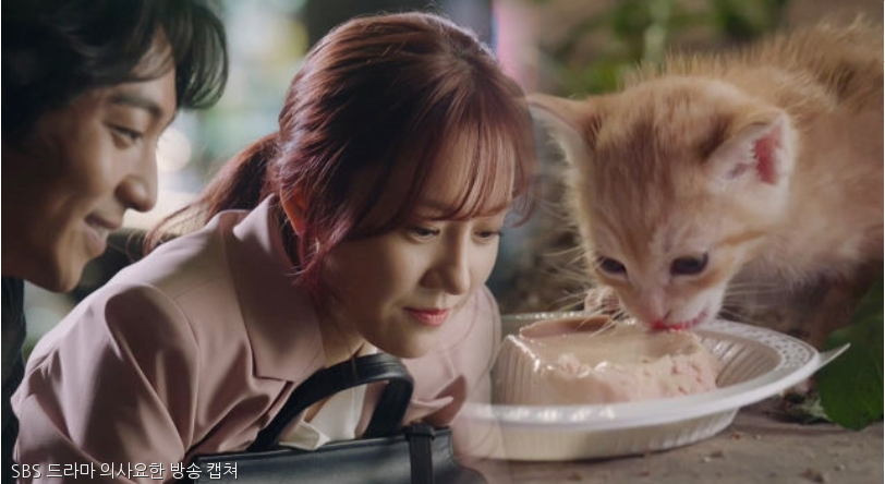 노트펫