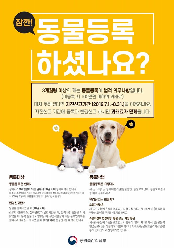 노트펫