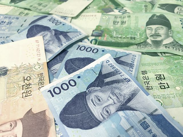 노트펫