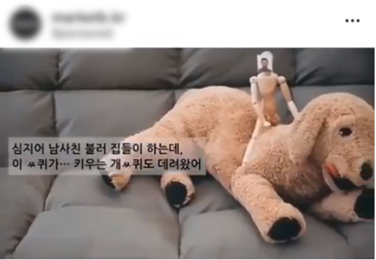 노트펫