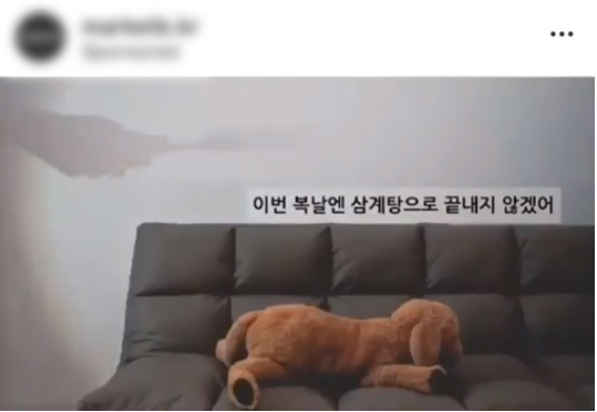 노트펫