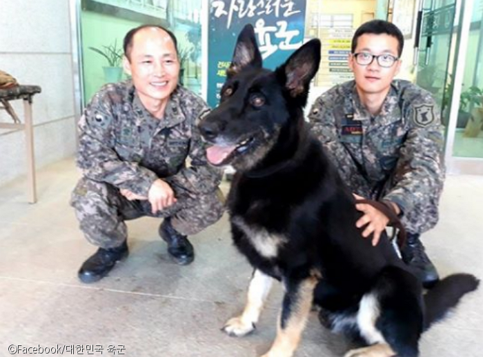 노트펫