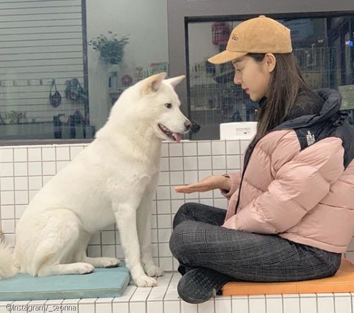 노트펫