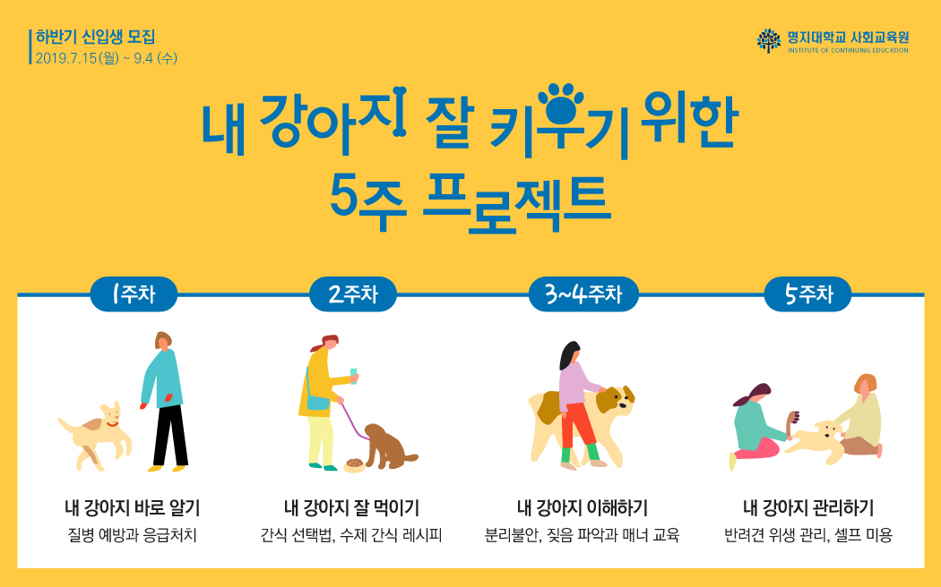 노트펫