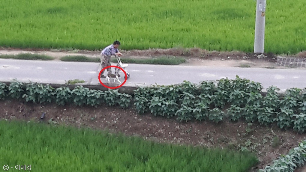 노트펫