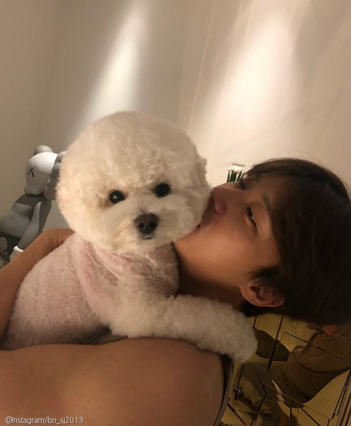 노트펫