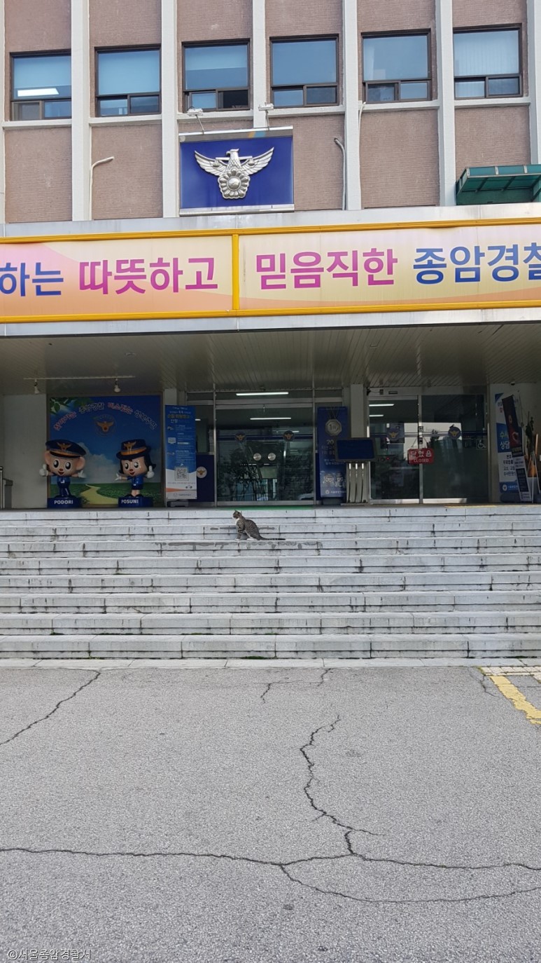 노트펫