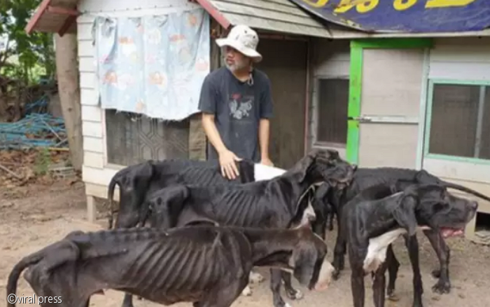 노트펫