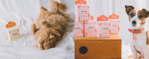 노트펫